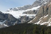 45 - Bow Lake  - IMG_0885